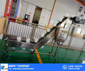 江蘇鴨蛋全自動包裝機,諸城廣元機械,鴨蛋全自動包裝機多少錢