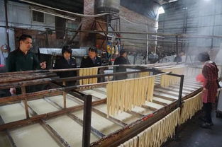 突擊檢查！欽州三家腐竹廠生產環境觸目驚心，衛生狀況堪憂